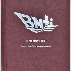 BMTI Perspective 2023