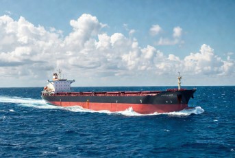 capesize bulker